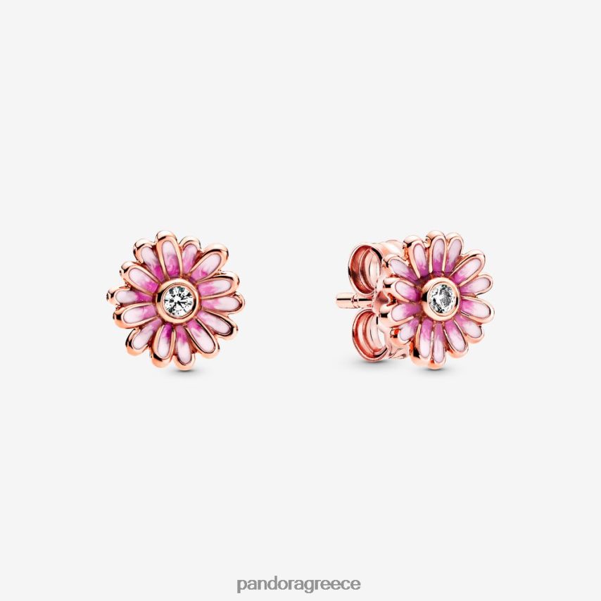 ροζ επιχρυσωμένο αξεσουάρ Pandora ροζ καρφωτά σκουλαρίκια με λουλούδια μαργαρίτα 4JZJZH902