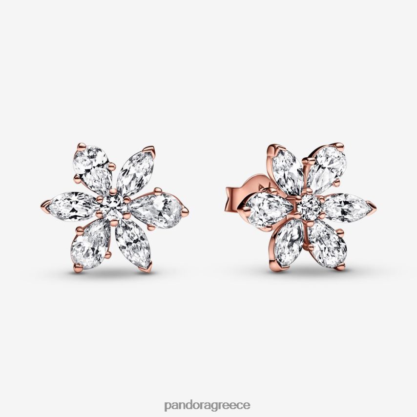 ροζ επιχρυσωμένο αξεσουάρ Pandora αφρώδη καρφωτά σκουλαρίκια από συστάδες Herbarium 4JZJZH928