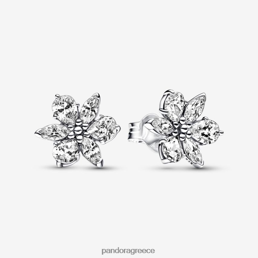 ασήμι στερλίνα αξεσουάρ Pandora αφρώδη καρφωτά σκουλαρίκια από συστάδες Herbarium 4JZJZH937